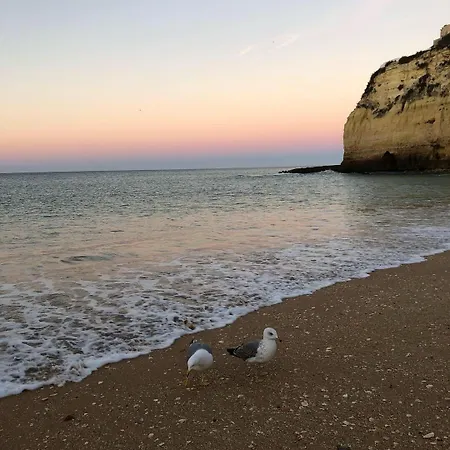 Casa Perola -ocean View ヴィラ カルヴォエイロ